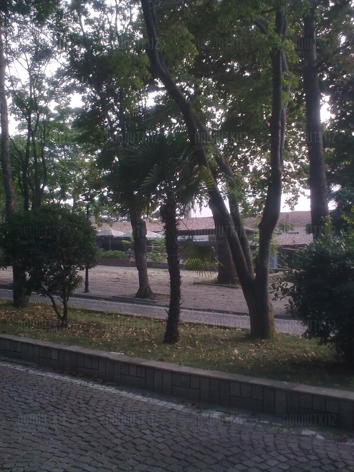 Zdjęcie1355.jpg - nowiutki12