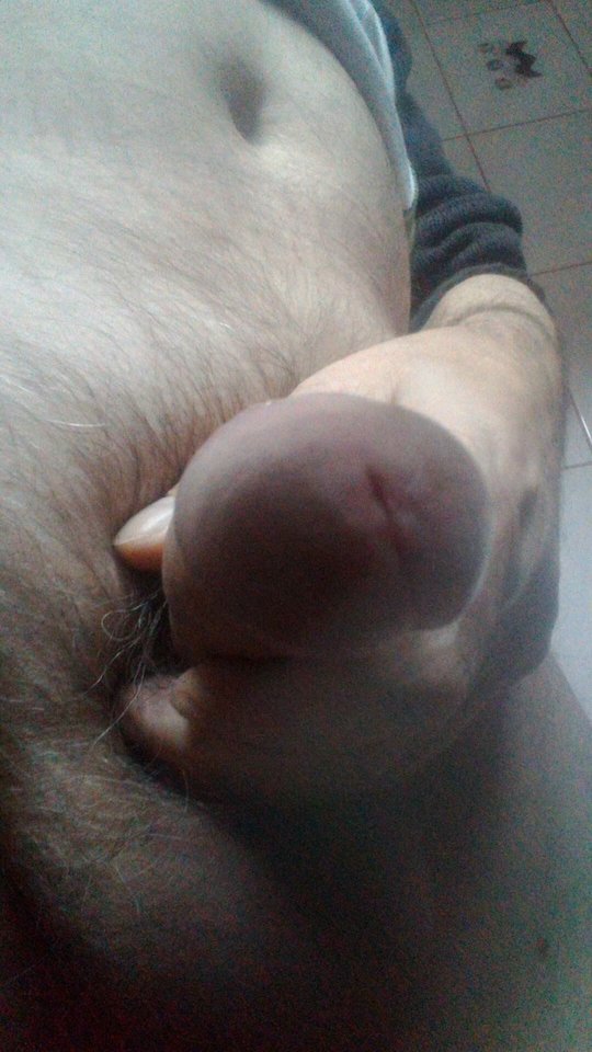 84177970_481595842763351_7682327295624740864_n.jpg - konrad5258