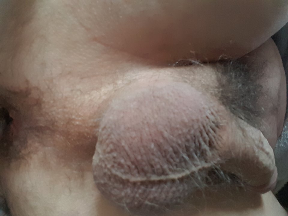 15796967452023598958833990069949.jpg - millutkii