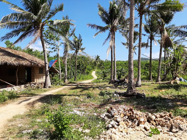 majuma1