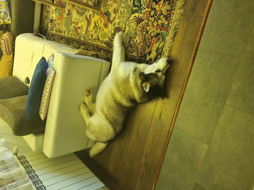 20191109_183300.jpg - fund79