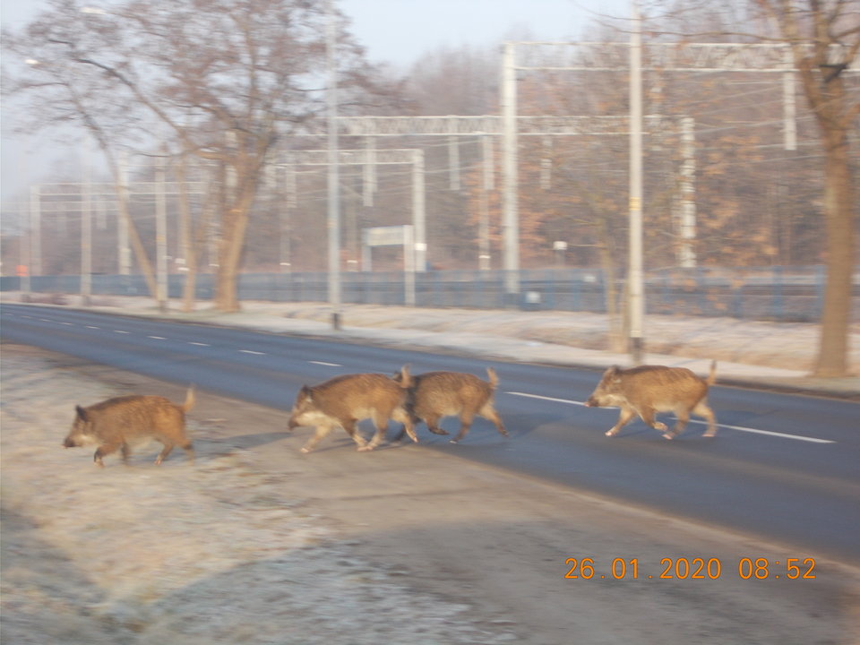 DSCN8299.JPG - TerazRazem