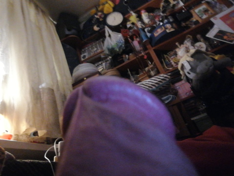 15802472400701817280464704160141.jpg - Sebusbielany