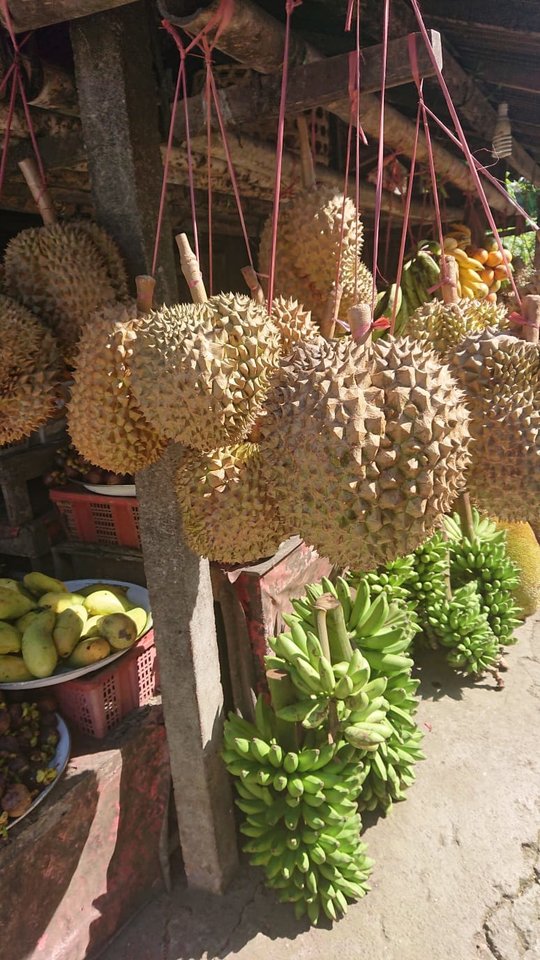 IMG-20190529-WA0001.jpg - heniek_lodz_50