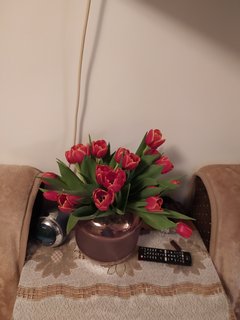 IMG_20200130_224716.jpg