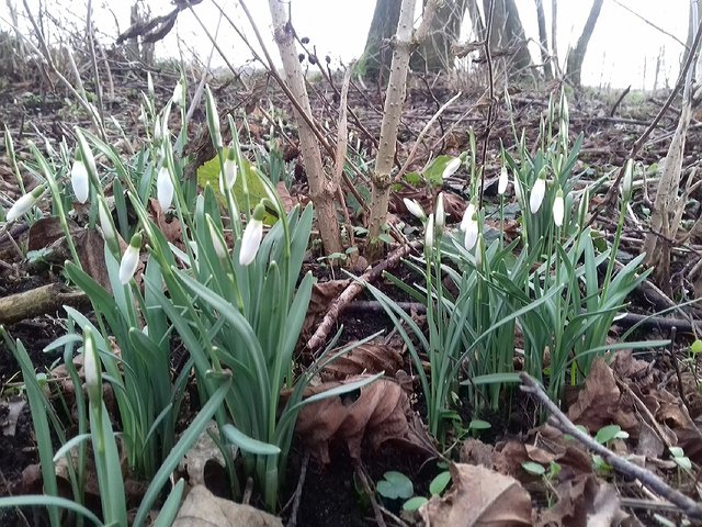 20200202_213317.jpg - torii99