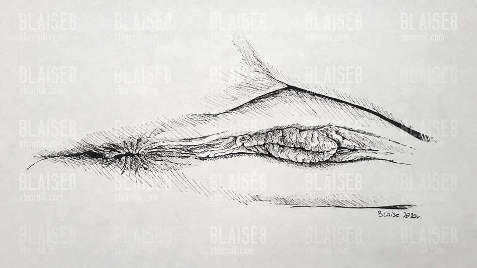 Art no. 7 - blaise8