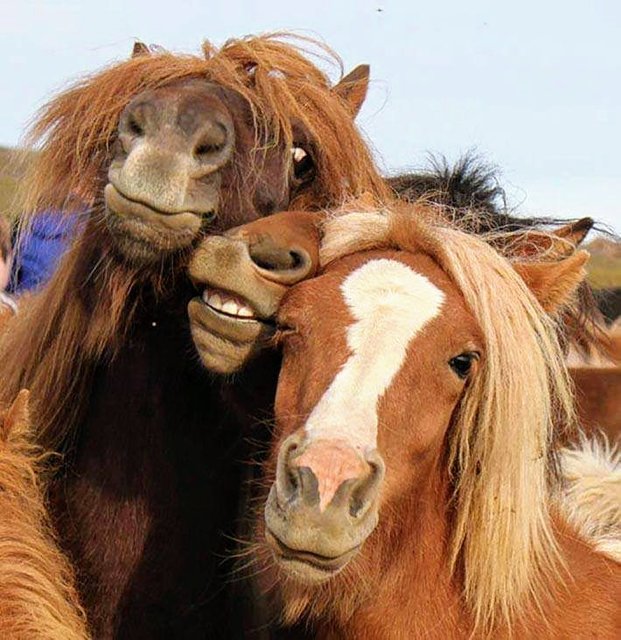 FB_IMG_1580822212718.jpg - Eurydyka2956