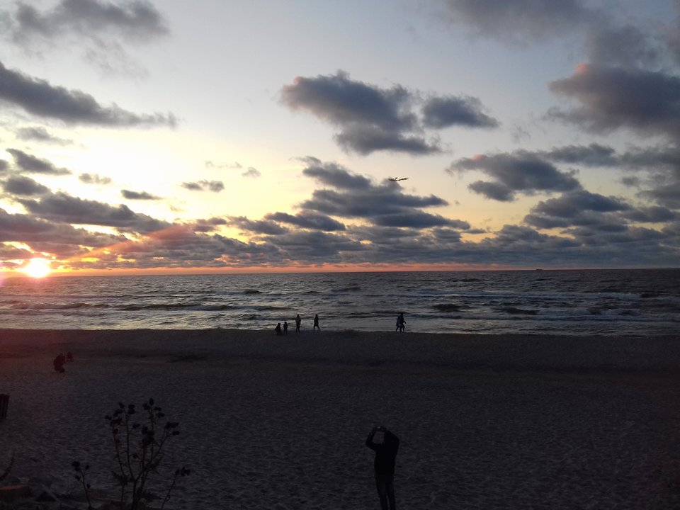 20190717_210627.jpg - dabrowiak