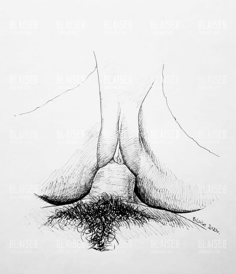 Art no. 8 - blaise8