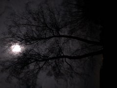 AC2F009B-1AA3-4B91-8C7B-BD7C66A6EE30.jpeg