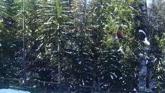 zieleniec_cam_c960f6-6c867c1549c2f1286e62f64e1d383b55 kopiA 2.jp