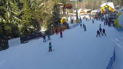 zieleniec_cam_c960f6-537b9f00a6bcbff4ffde25c7c3866b53 nn kop.jpg