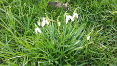 20200209_140057.jpg