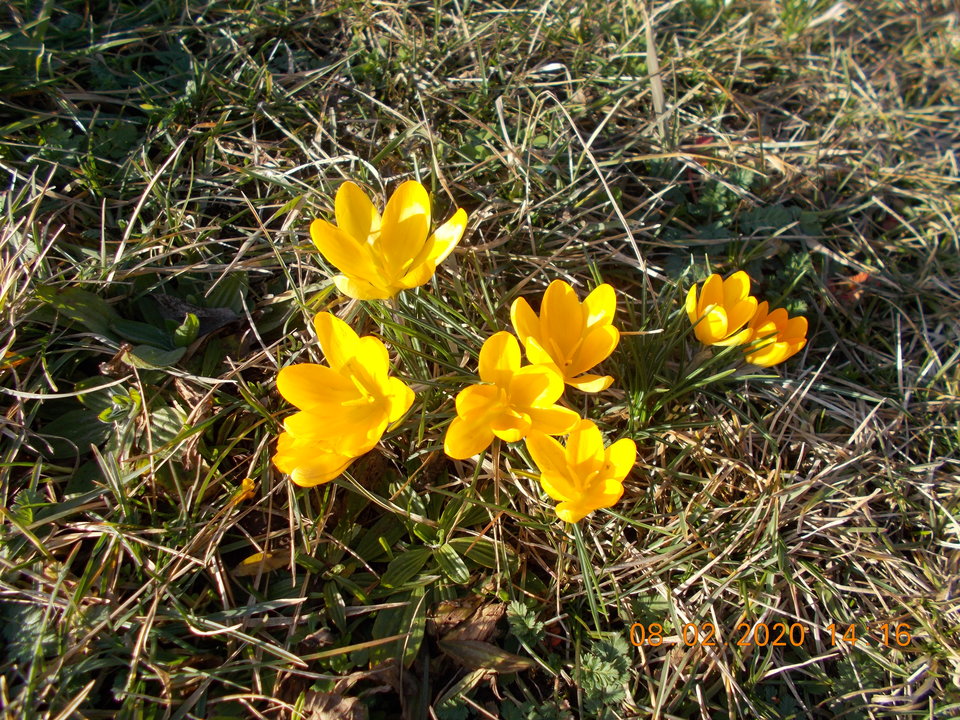 DSCN8430.JPG - TerazRazem