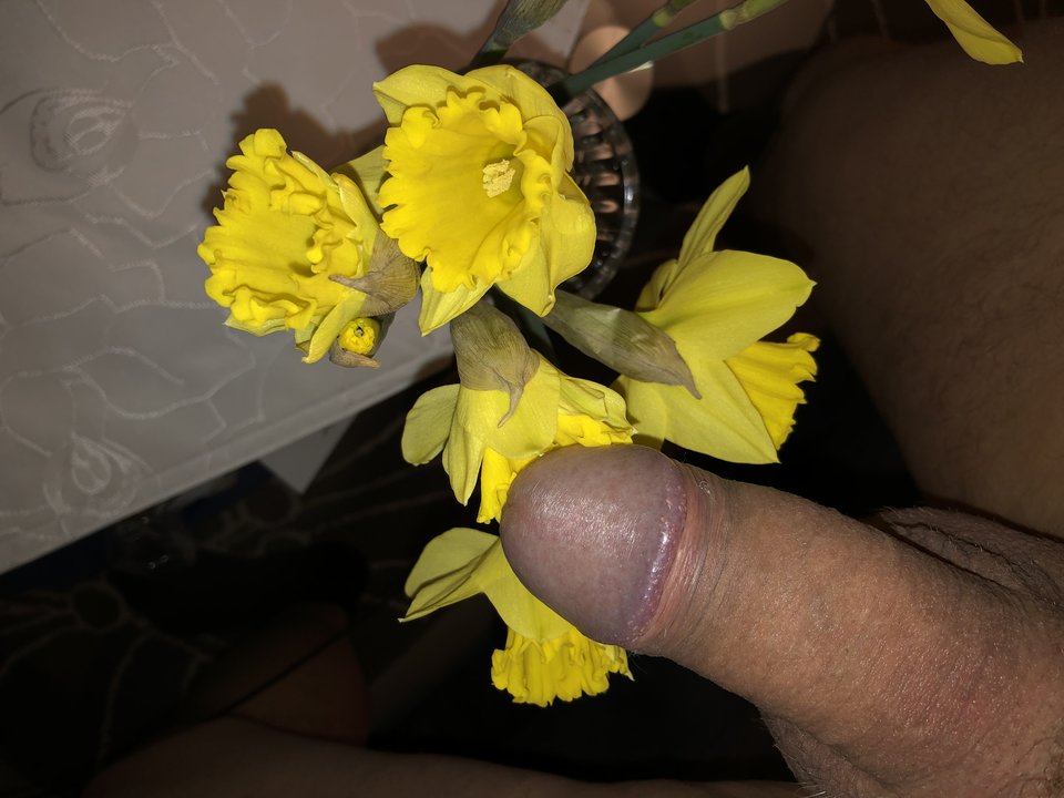 AFB48A01-5801-44DA-AADB-BE4A85CD829D.jpeg - nrw670n