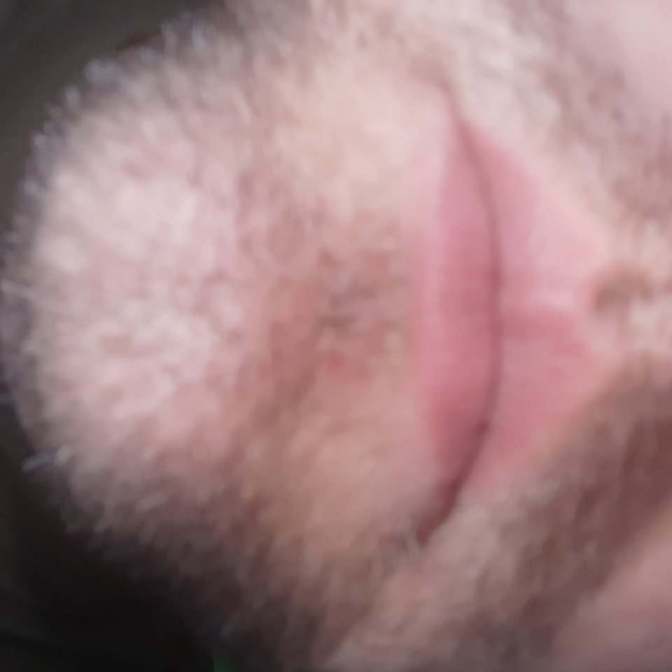 20200210_200107.jpg - Suzuki1998