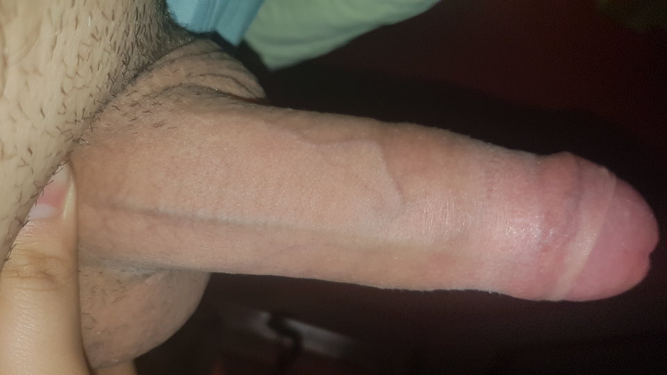 15815879684501920817971.jpg - Pasywek9966