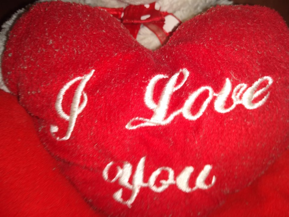 IMG_20200213_181507341.jpg - rafi07