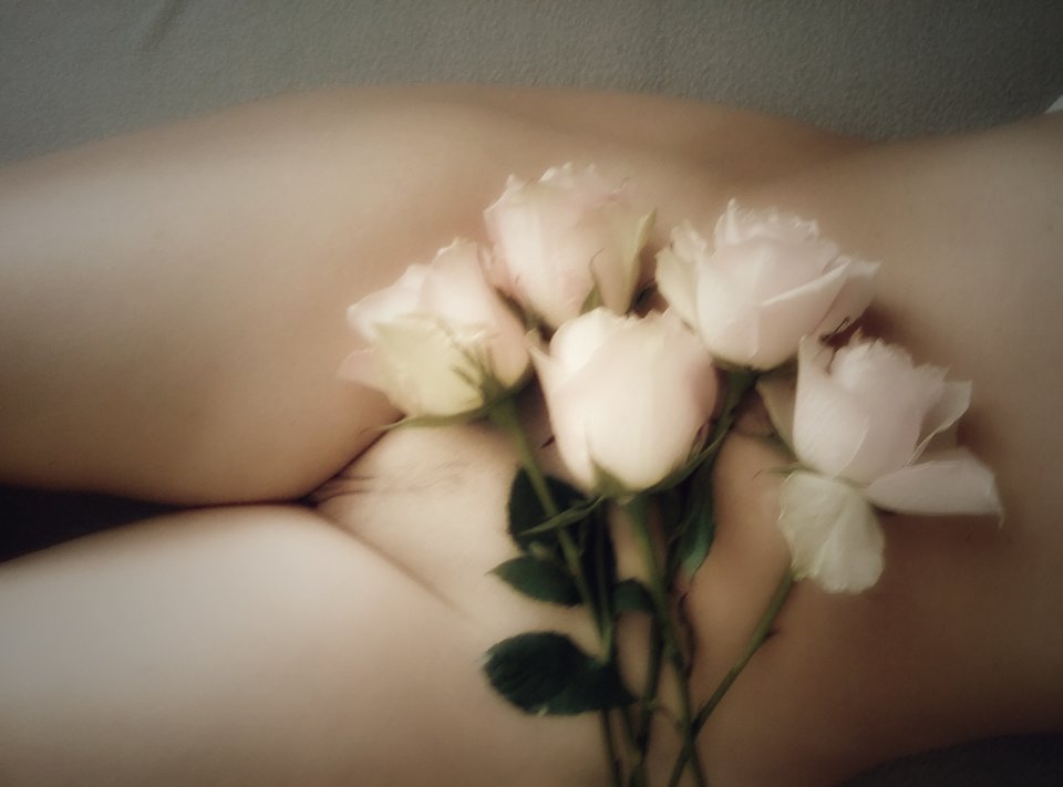 Róże - DLzakochani