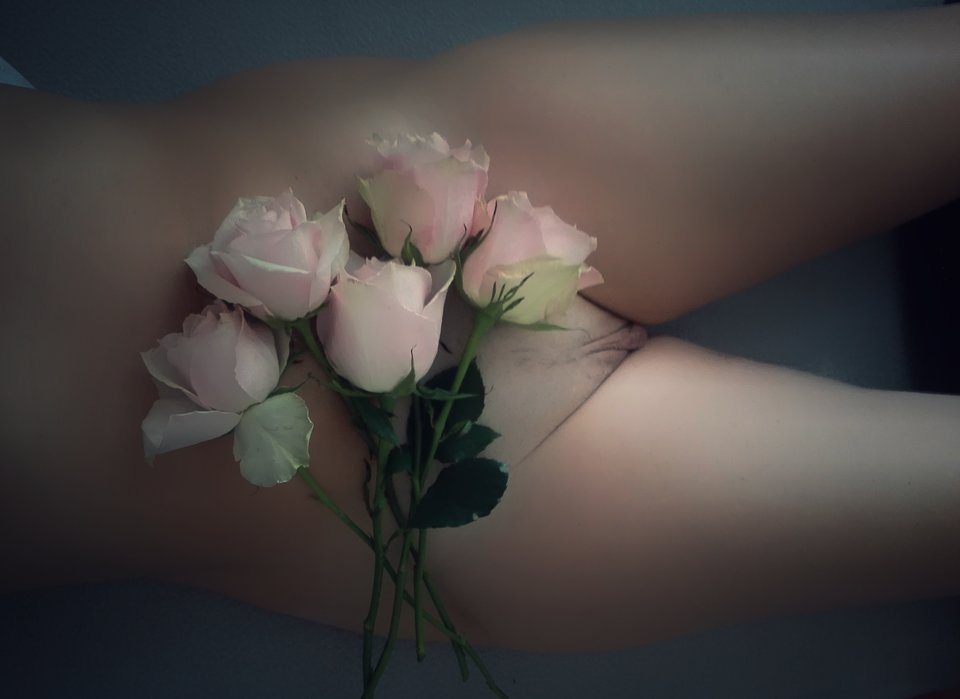 Róże - DLzakochani