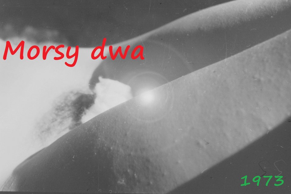 Znalezione na dnie szafy !!! - Morsy_dwa