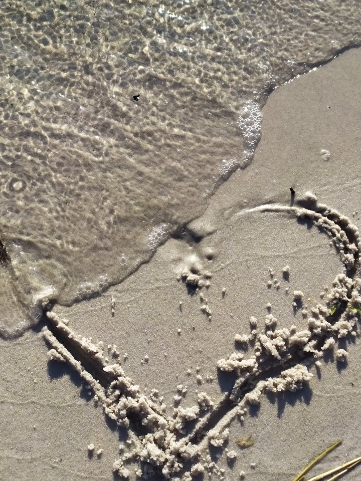 IMG_20200214_163558.jpg - Olgis