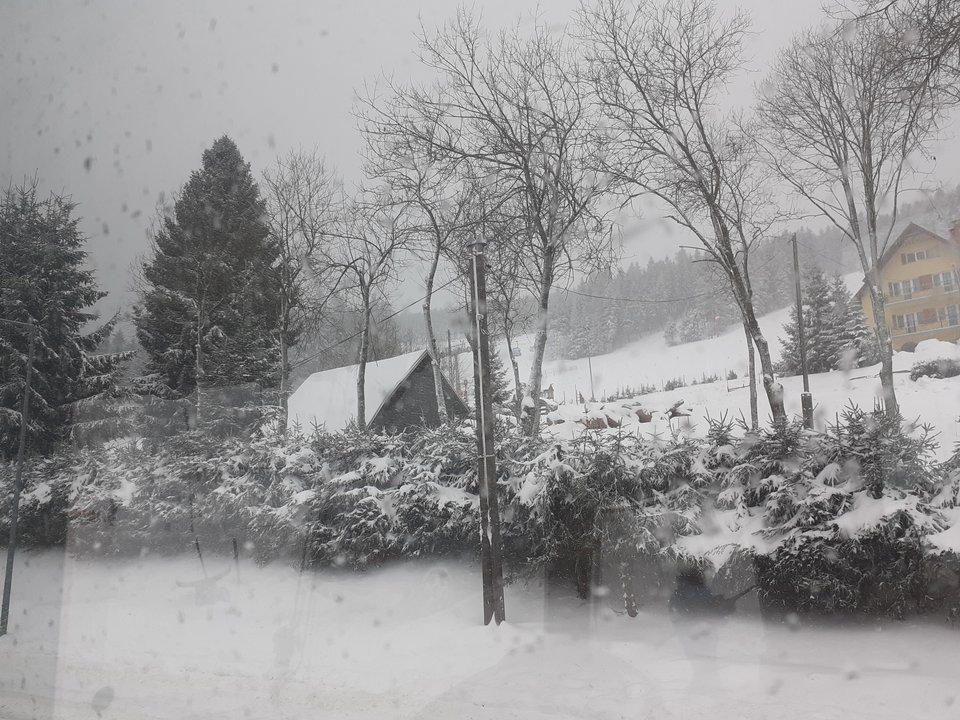 20200212_095926.jpg - Przemodkl79