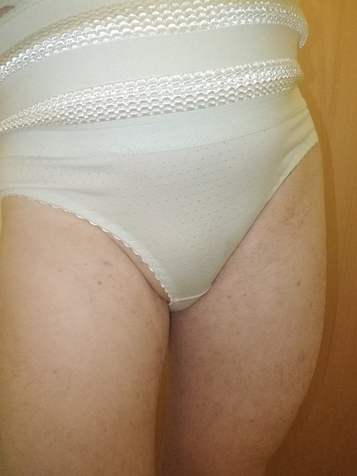 15818478963493138493872379450307.jpg - Palciusia