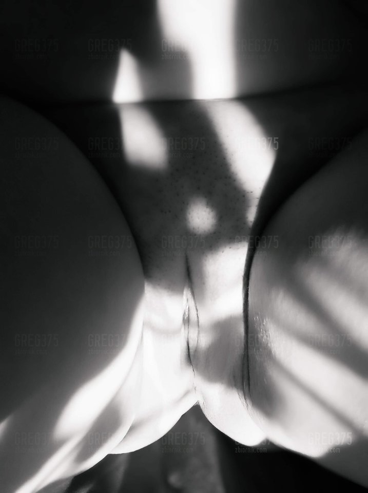 received_241305833528692.jpeg - greg375