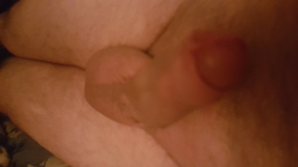 15819735951547433629197003497675.jpg - miro1011