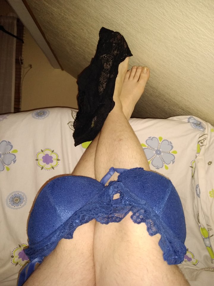 15820623546606709406061829616193.jpg - Palciusia