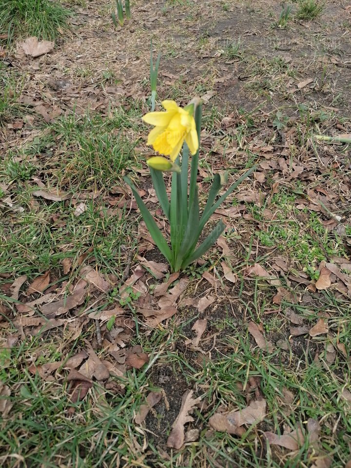 IMG_20200219_123359.jpg - pp1981