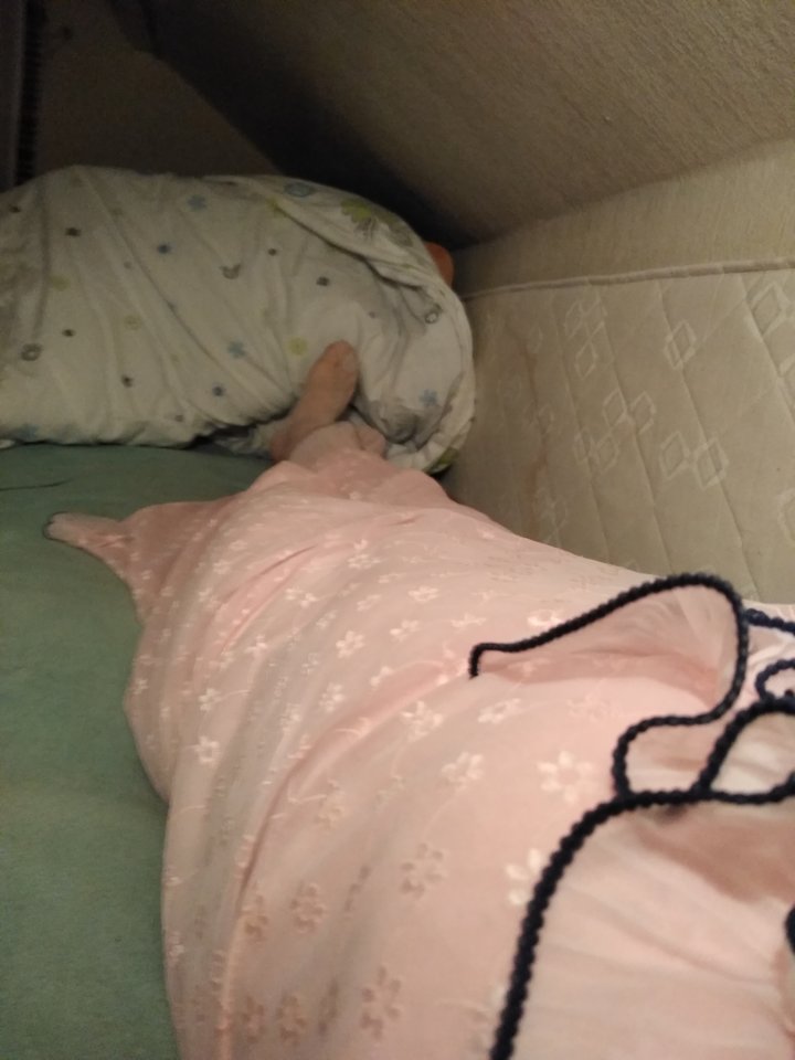 15821453582891376690310493619670.jpg - Palciusia