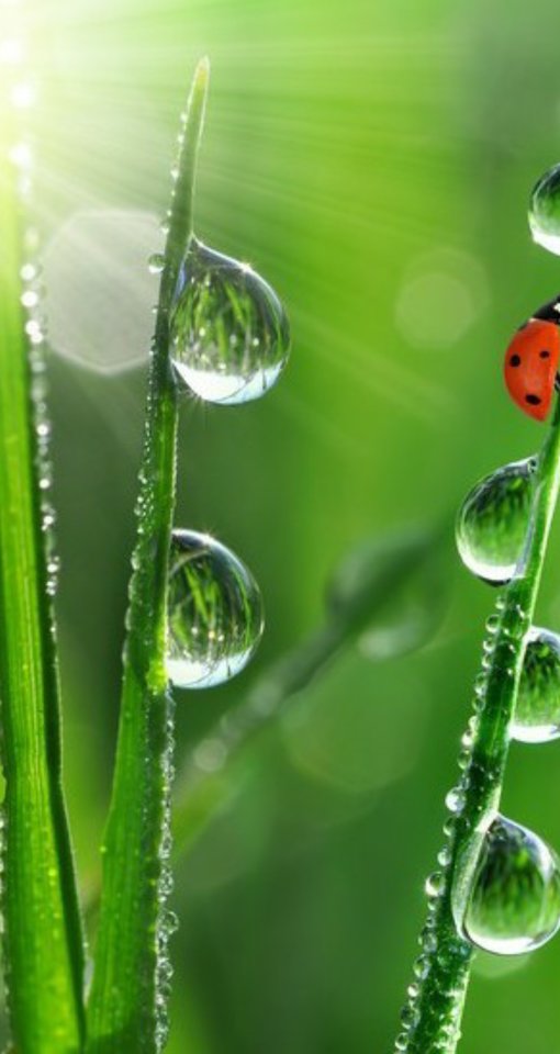 IMG_1561748922325.jpg - migotka321