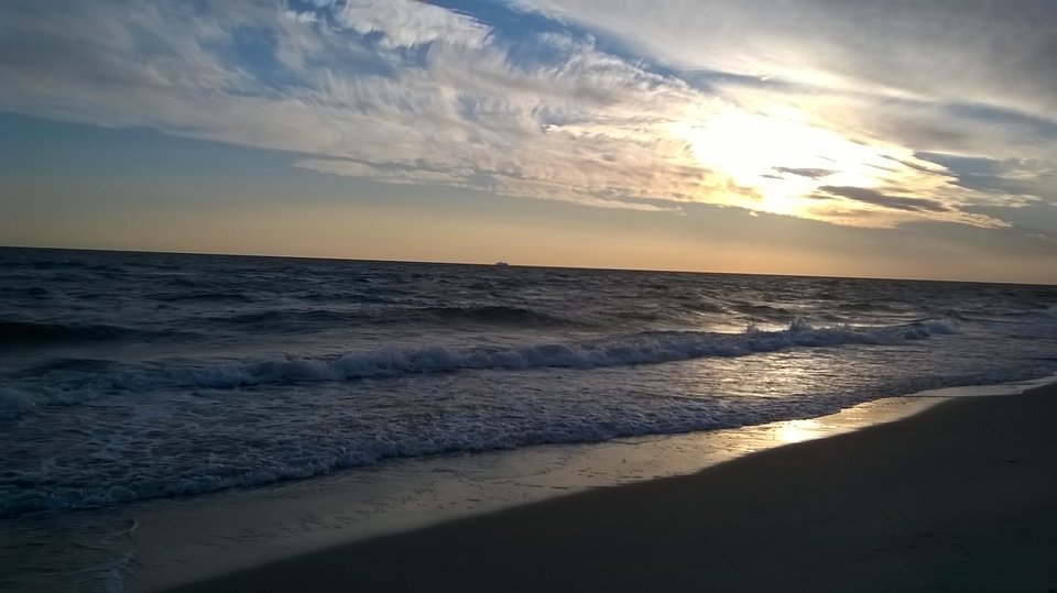 WP_20150911_006.jpg - lulu01