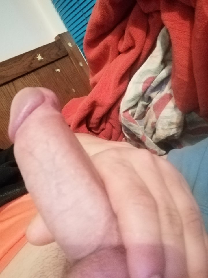 IMG_20200226_023017.jpg - Stivew