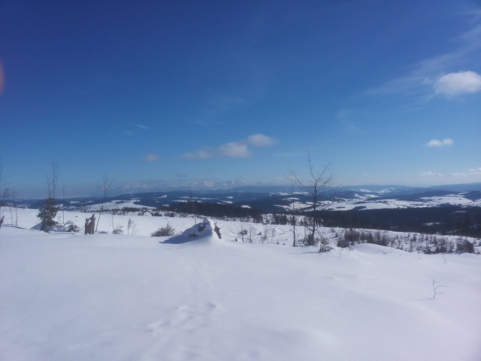 20200215_133250.jpg - realnaimilaparkakrakow