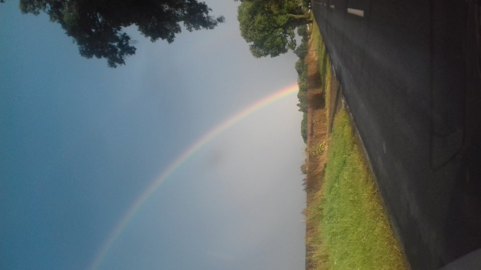 20190808_185635.jpg - best_frend