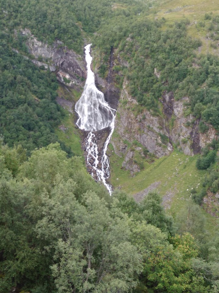 IMG_20170823_200857.jpg - best_frend