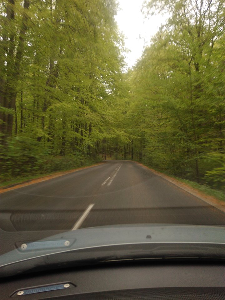 IMG_20190502_095346.jpg - best_frend