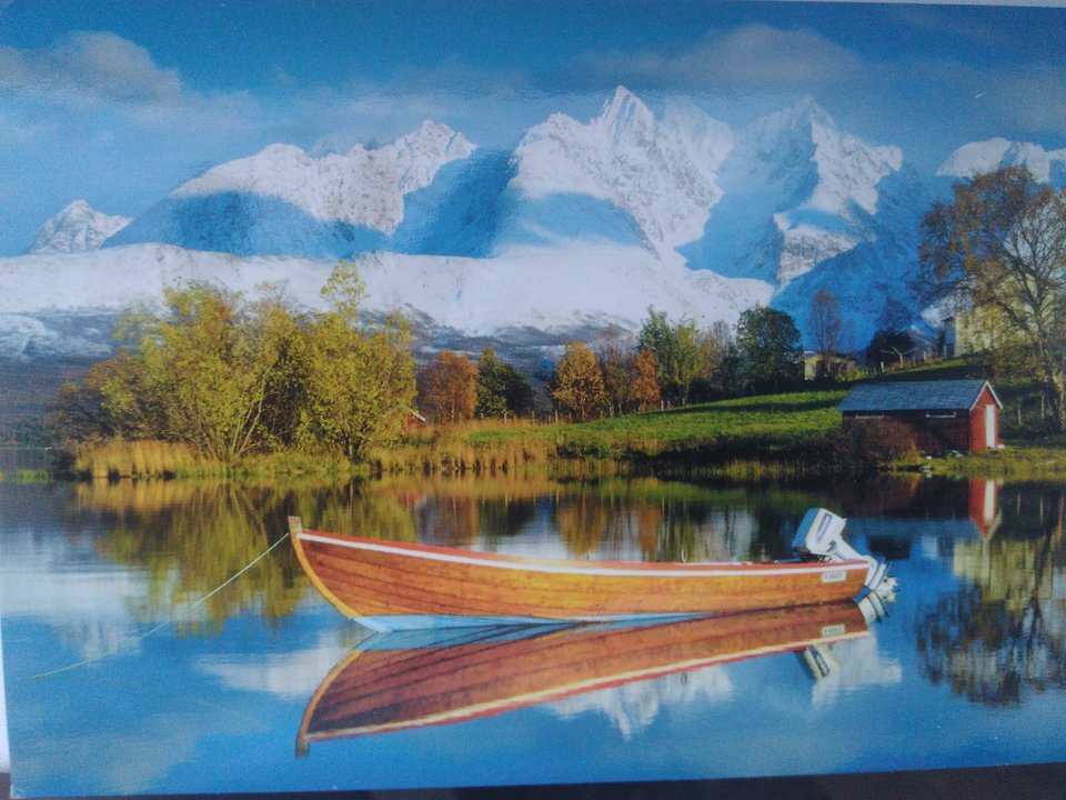 IMG_20190213_161343.jpg - best_frend