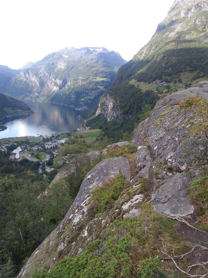 IMG_20170823_171715.jpg - best_frend