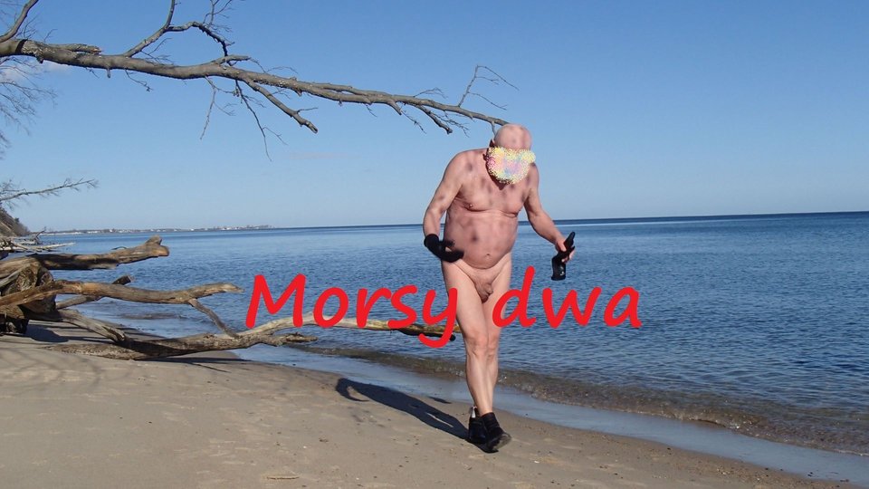 W słoneczku ! - Morsy_dwa