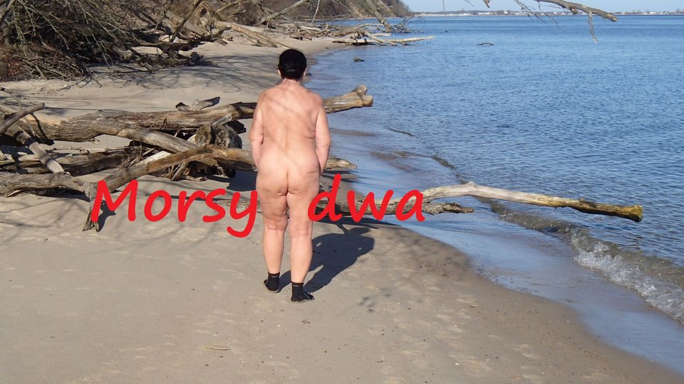 W słoneczku ! - Morsy_dwa