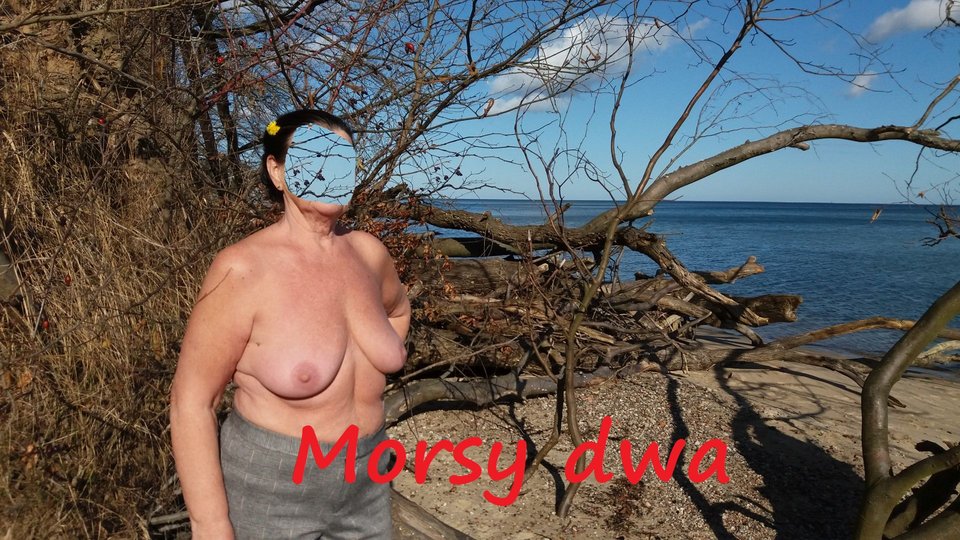 W słoneczku ! - Morsy_dwa