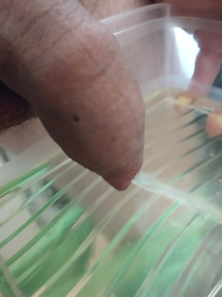 IMG_20200302_200356.jpg - Kriss7788