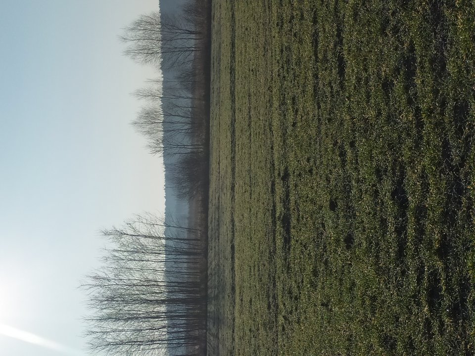 IMG_20200305_075929.jpg - samseks