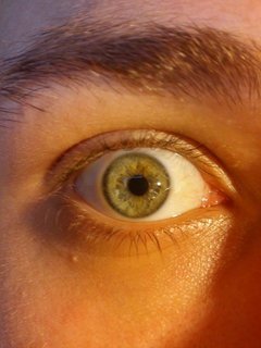 Eye.jpg