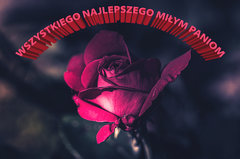 Z okazji Dnia Kobiet i bez okazji też ;)